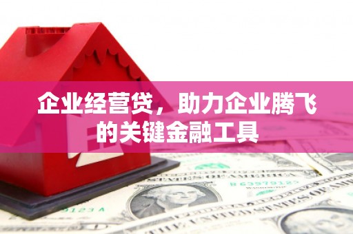 丹徒企业经营贷，助力企业腾飞的关键金融工具