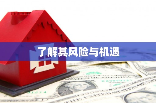 丹徒了解其风险与机遇