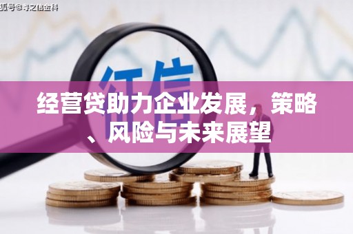 丹徒经营贷助力企业发展，策略、风险与未来展望