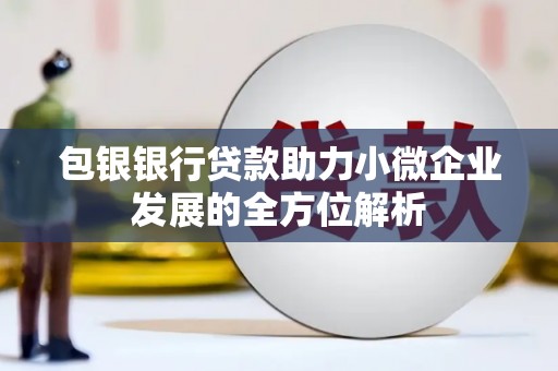 丹徒包银银行贷款助力小微企业发展的全方位解析