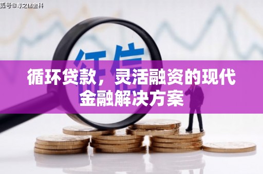 丹徒循环贷款，灵活融资的现代金融解决方案