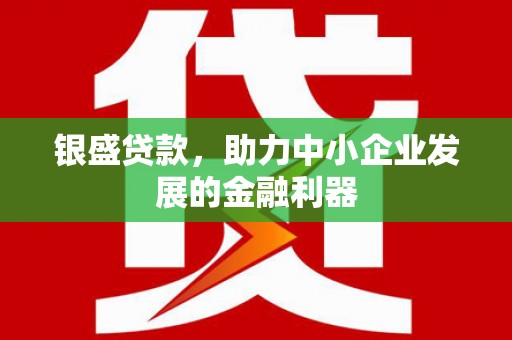丹徒银盛贷款，助力中小企业发展的金融利器