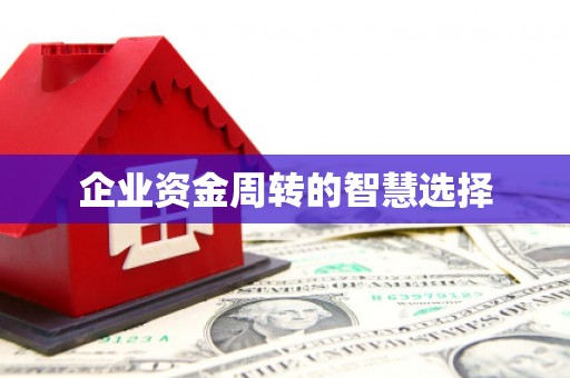 丹徒企业资金周转的智慧选择