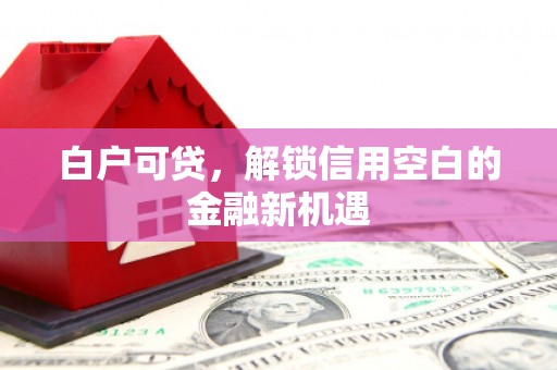 丹徒白户可贷，解锁信用空白的金融新机遇