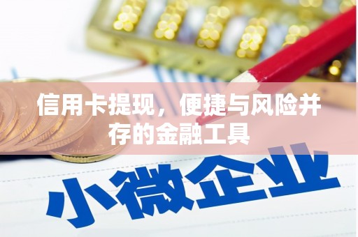丹徒信用卡提现，便捷与风险并存的金融工具