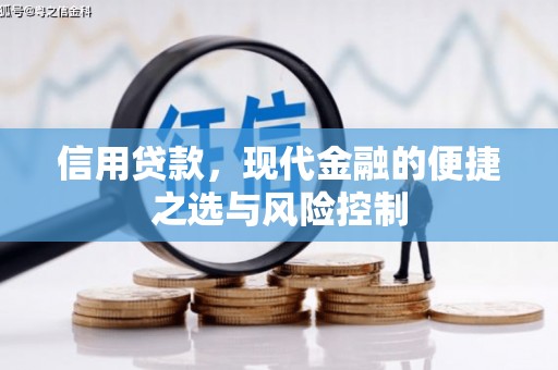 丹徒信用贷款，现代金融的便捷之选与风险控制