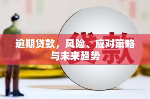丹徒逾期贷款，风险、应对策略与未来趋势