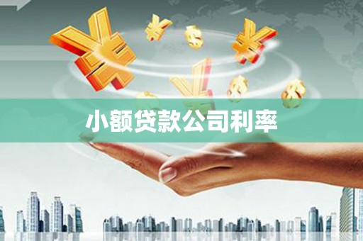 丹徒小额贷款公司利率