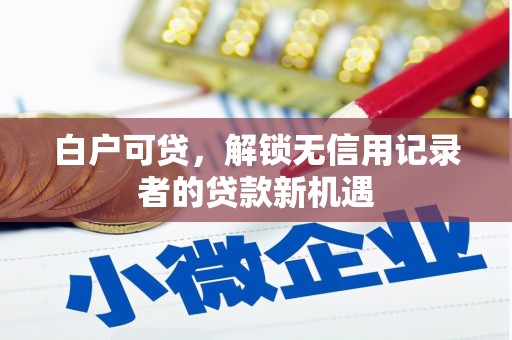 丹徒白户可贷，解锁无信用记录者的贷款新机遇