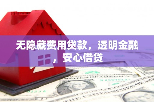 丹徒无隐藏费用贷款，透明金融，安心借贷