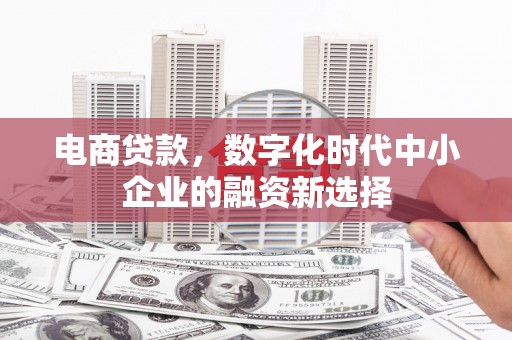 丹徒电商贷款，数字化时代中小企业的融资新选择
