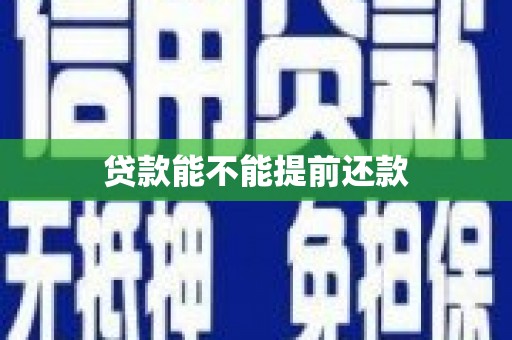丹徒贷款能不能提前还款