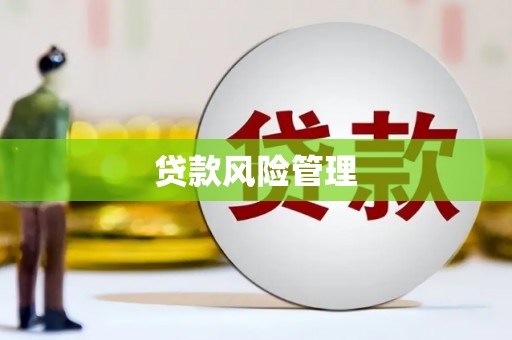 丹徒贷款风险管理