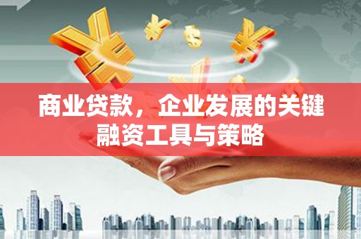 丹徒商业贷款，企业发展的关键融资工具与策略
