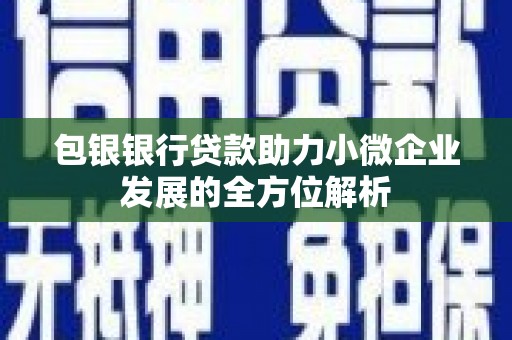 丹徒包银银行贷款助力小微企业发展的全方位解析