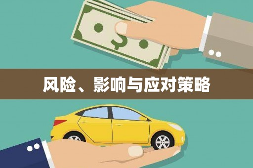 丹徒风险、影响与应对策略