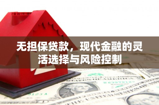 丹徒无担保贷款，现代金融的灵活选择与风险控制