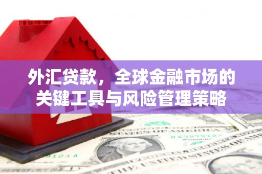 丹徒外汇贷款，全球金融市场的关键工具与风险管理策略