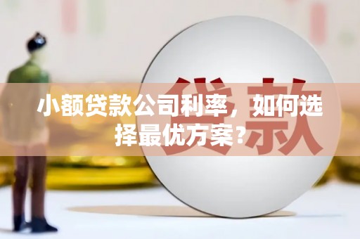 丹徒小额贷款公司利率，如何选择最优方案？