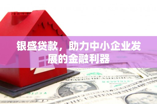 丹徒银盛贷款，助力中小企业发展的金融利器