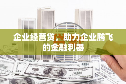 丹徒企业经营贷，助力企业腾飞的金融利器