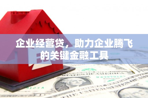 丹徒企业经营贷，助力企业腾飞的关键金融工具