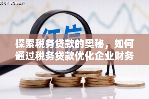 丹徒探索税务贷款的奥秘，如何通过税务贷款优化企业财务