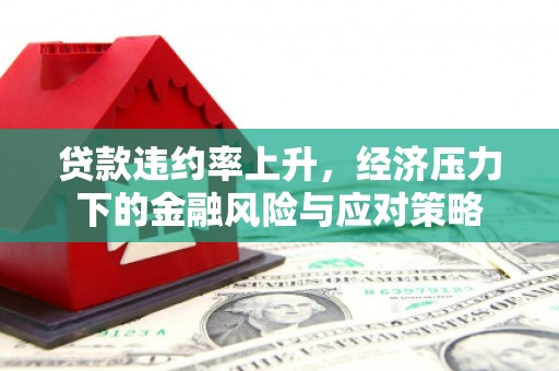 丹徒贷款违约率上升，经济压力下的金融风险与应对策略