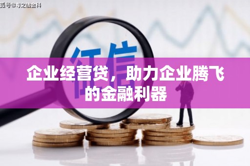 丹徒企业经营贷，助力企业腾飞的金融利器
