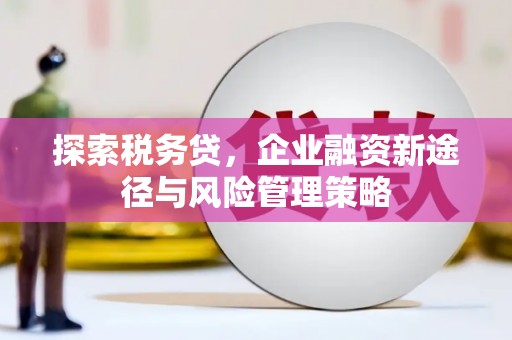 丹徒探索税务贷，企业融资新途径与风险管理策略