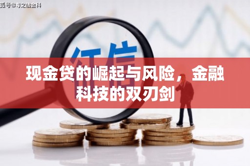 丹徒现金贷的崛起与风险，金融科技的双刃剑