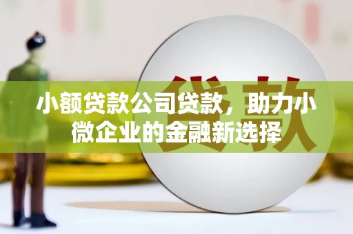 丹徒小额贷款公司贷款，助力小微企业的金融新选择