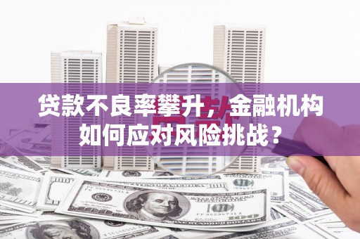 丹徒贷款不良率攀升，金融机构如何应对风险挑战？
