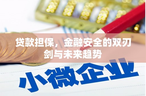 丹徒贷款担保，金融安全的双刃剑与未来趋势
