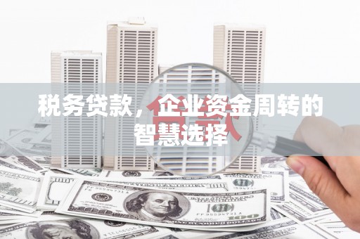 丹徒税务贷款，企业资金周转的智慧选择