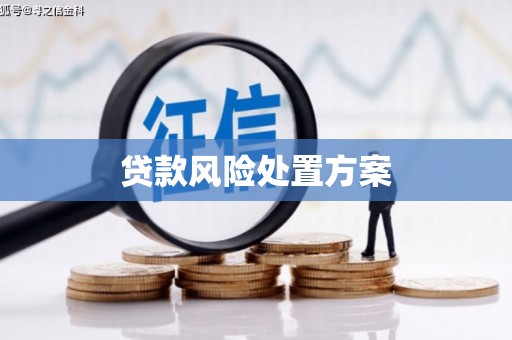 丹徒贷款风险处置方案
