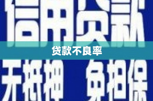 丹徒贷款不良率