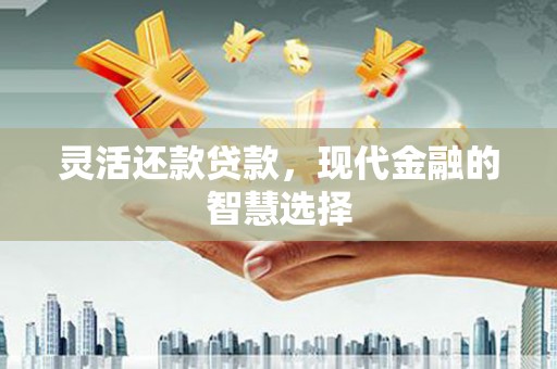 丹徒灵活还款贷款，现代金融的智慧选择