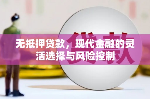 丹徒无抵押贷款，现代金融的灵活选择与风险控制