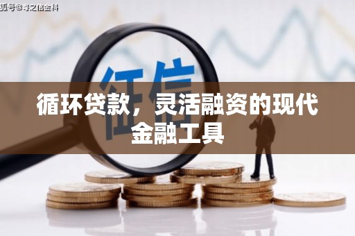 丹徒循环贷款，灵活融资的现代金融工具