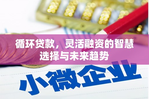 丹徒循环贷款，灵活融资的智慧选择与未来趋势