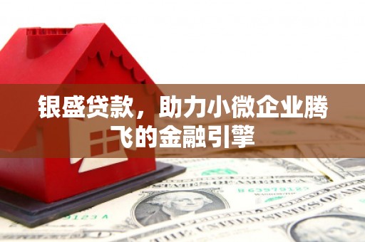 丹徒银盛贷款，助力小微企业腾飞的金融引擎