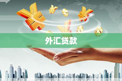 丹徒外汇贷款