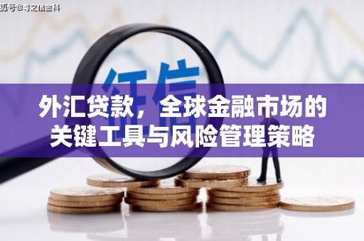 丹徒外汇贷款，全球金融市场的关键工具与风险管理策略