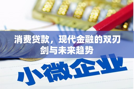 丹徒消费贷款，现代金融的双刃剑与未来趋势