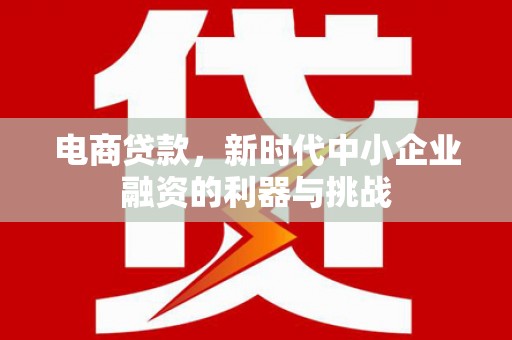 丹徒电商贷款，新时代中小企业融资的利器与挑战