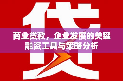 丹徒商业贷款，企业发展的关键融资工具与策略分析