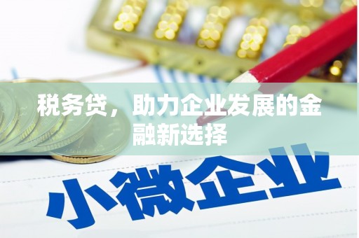 丹徒税务贷，助力企业发展的金融新选择