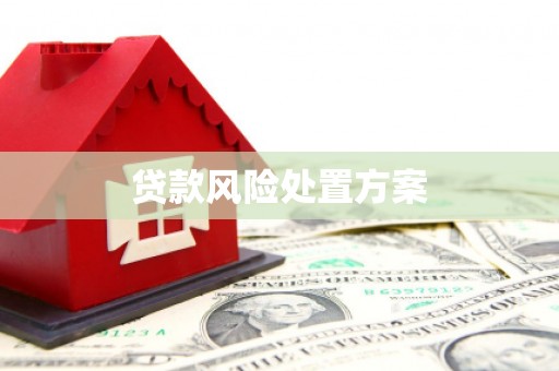 丹徒贷款风险处置方案
