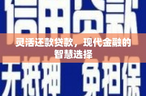 丹徒灵活还款贷款，现代金融的智慧选择